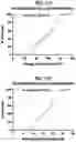 Fig. 43 - Stimulation of a nerve supplying the spleen