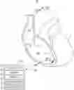 Fig. 01 - METHOD AND APPARATUS FOR ESTABLISHING PARAMETERS FOR CARDIAC EVENT DETECTION