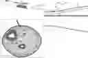 Fig. 01 - IMPLANT AND DELIVERY TOOL THEREFOR