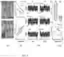Fig. 09 - NOVEL PERIPHERAL NERVE INTERFACE DEVICE