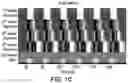Fig. 03 - Thalamic Input to Orbitofrontal Cortex Drives Brain-Wide, Frequency-Dependent Inhibition Mediated By GABA and Zona Incerta