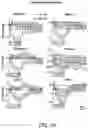 Fig. 07 - Thalamic Input to Orbitofrontal Cortex Drives Brain-Wide, Frequency-Dependent Inhibition Mediated By GABA and Zona Incerta
