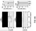 Fig. 19 - Thalamic Input to Orbitofrontal Cortex Drives Brain-Wide, Frequency-Dependent Inhibition Mediated By GABA and Zona Incerta