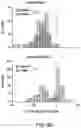 Fig. 25 - Thalamic Input to Orbitofrontal Cortex Drives Brain-Wide, Frequency-Dependent Inhibition Mediated By GABA and Zona Incerta