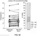 Fig. 26 - Thalamic Input to Orbitofrontal Cortex Drives Brain-Wide, Frequency-Dependent Inhibition Mediated By GABA and Zona Incerta