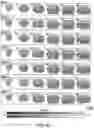 Fig. 40 - Thalamic Input to Orbitofrontal Cortex Drives Brain-Wide, Frequency-Dependent Inhibition Mediated By GABA and Zona Incerta