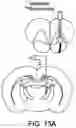 Fig. 54 - Thalamic Input to Orbitofrontal Cortex Drives Brain-Wide, Frequency-Dependent Inhibition Mediated By GABA and Zona Incerta