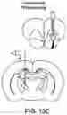 Fig. 58 - Thalamic Input to Orbitofrontal Cortex Drives Brain-Wide, Frequency-Dependent Inhibition Mediated By GABA and Zona Incerta