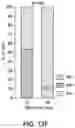 Fig. 59 - Thalamic Input to Orbitofrontal Cortex Drives Brain-Wide, Frequency-Dependent Inhibition Mediated By GABA and Zona Incerta
