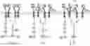 Fig. 01 - METHODS OF INCREASING RESPONSE TO CANCER RADIATION THERAPY