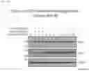 Fig. 11 - METHODS OF INCREASING RESPONSE TO CANCER RADIATION THERAPY