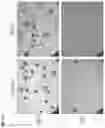 Fig. 20 - METHODS OF INCREASING RESPONSE TO CANCER RADIATION THERAPY