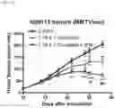 Fig. 37 - METHODS OF INCREASING RESPONSE TO CANCER RADIATION THERAPY