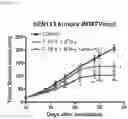 Fig. 38 - METHODS OF INCREASING RESPONSE TO CANCER RADIATION THERAPY
