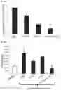 Fig. 47 - METHODS OF INCREASING RESPONSE TO CANCER RADIATION THERAPY