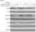Fig. 57 - METHODS OF INCREASING RESPONSE TO CANCER RADIATION THERAPY