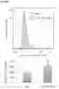 Fig. 67 - METHODS OF INCREASING RESPONSE TO CANCER RADIATION THERAPY
