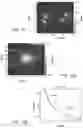 Fig. 14 - Diffusing alpha-emitter radiation therapy for squamous cell carcinoma