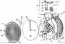 Fig. 01 - Settable Length Fall Arrest Device