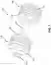 Fig. 02 - ADJUSTABLE DUMBBELL