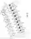 Fig. 03 - Set of dumbbells