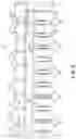 Fig. 04 - Set of dumbbells
