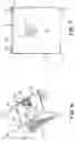 Fig. 06 - Set of dumbbells