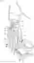 Fig. 01 - Exercise machine