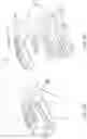 Fig. 06 - USE OF PROJECTILE DATA TO CREATE A VIRTUAL REALITY SIMULATION OF A LIVE-ACTION SEQUENCE