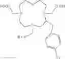 Fig. 10 - Chromatographic separation of metals using DOTA-based chelators