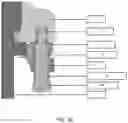 Fig. 10 - Filter bowl retention mechanism