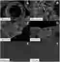 Fig. 01 - Porous membranes comprising sorbent particles for improved urea capture