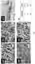 Fig. 06 - A CERAMIC MEMBRANE FOR WATER AND WASTEWATER TREATMENT