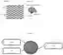 Fig. 02 - Aerogel based on gas vesicles and bacterial cellulose
