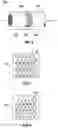 Fig. 03 - Triple-Layered Active Material with Composite Phase Intermediate Layer, Its Preparation and Regeneration Methods
