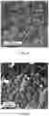 Fig. 05 - Process for reducing aromatic nitro compounds with supported catalyst
