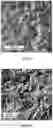 Fig. 06 - Process for reducing aromatic nitro compounds with supported catalyst