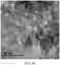 Fig. 10 - Carbon-coated Nickel Oxide Nanocomposite Material, Preparation Method Therefor and Use Thereof