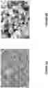 Fig. 07 - ZEOLITE SYNTHESIS