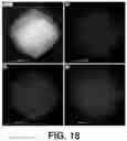 Fig. 19 - MOF CATALYSTS FOR OLIGOMERIZATION OF OLEFINS