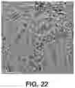 Fig. 23 - MOF CATALYSTS FOR OLIGOMERIZATION OF OLEFINS