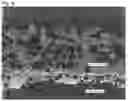 Fig. 05 - Exhaust gas purification catalyst