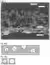 Fig. 06 - Exhaust gas purification catalyst