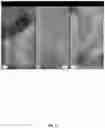 Fig. 10 - Catalyst, structures, reactors, and methods of forming same