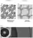 Fig. 08 - RAPID CELL CULTURE TEST DEVICE INCLUDING ISLAND STRUCTURES