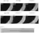 Fig. 09 - RAPID CELL CULTURE TEST DEVICE INCLUDING ISLAND STRUCTURES