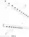 Fig. 07 - Spraying Device