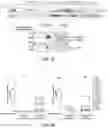 Fig. 02 - COMPOUNDS FOR THE TREATMENT OF HUMAN IMMUNODEFICIENCY VIRUS