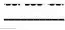 Fig. 02 - Bicyclic compound and use thereof