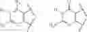 Fig. 131 - NEW EQUATORIALLY MODIFIED POLYMER LINKED MULTIMERS OF GUANSINE-3', 5'-CYCLIC MONOPHOSPHATES